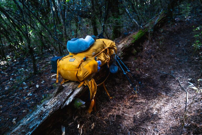 Unique Travel Essentials You Didn’t Know You Needed
