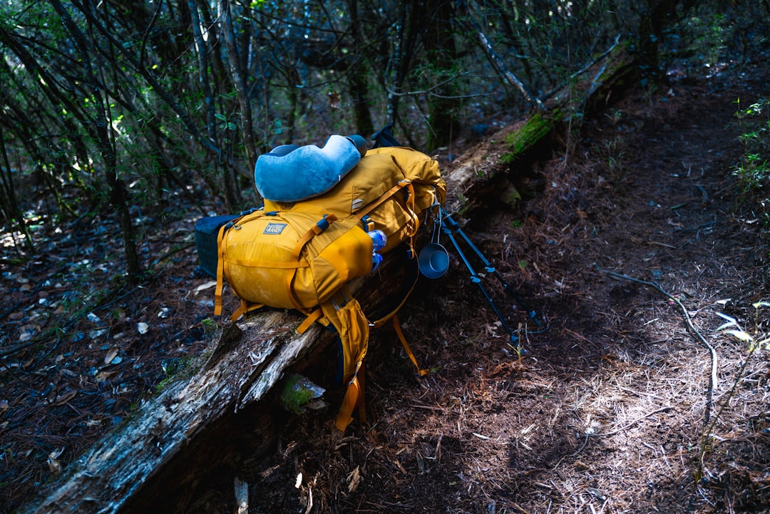 Unique Travel Essentials You Didn’t Know You Needed
